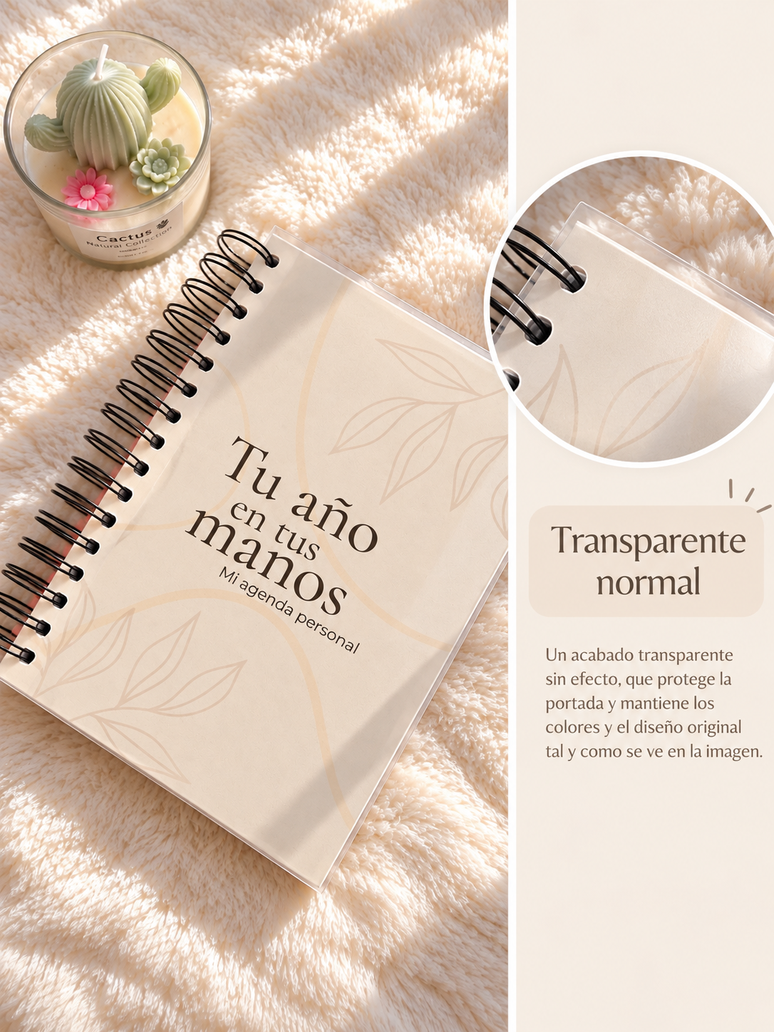 Planner TDAH | Organización, Brain Dump y Rutinas ✨