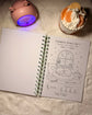 Planner TDAH | Organización, Brain Dump y Rutinas ✨