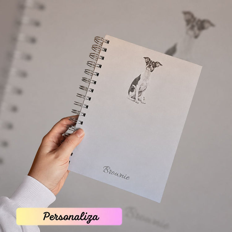 Personaliza